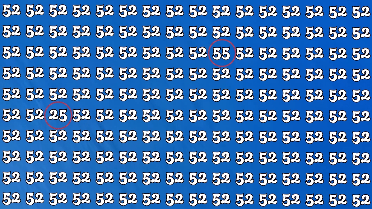 Hidden Numbers 55 and 25