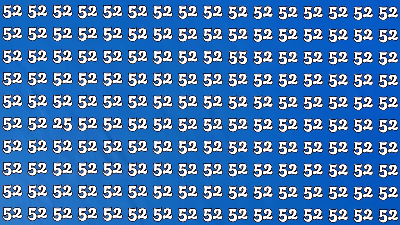Hidden Numbers 55 and 25