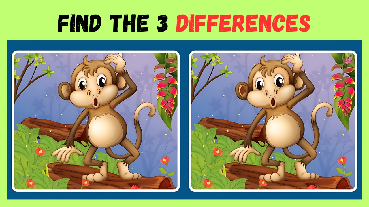 3 Differences in Monkey Image