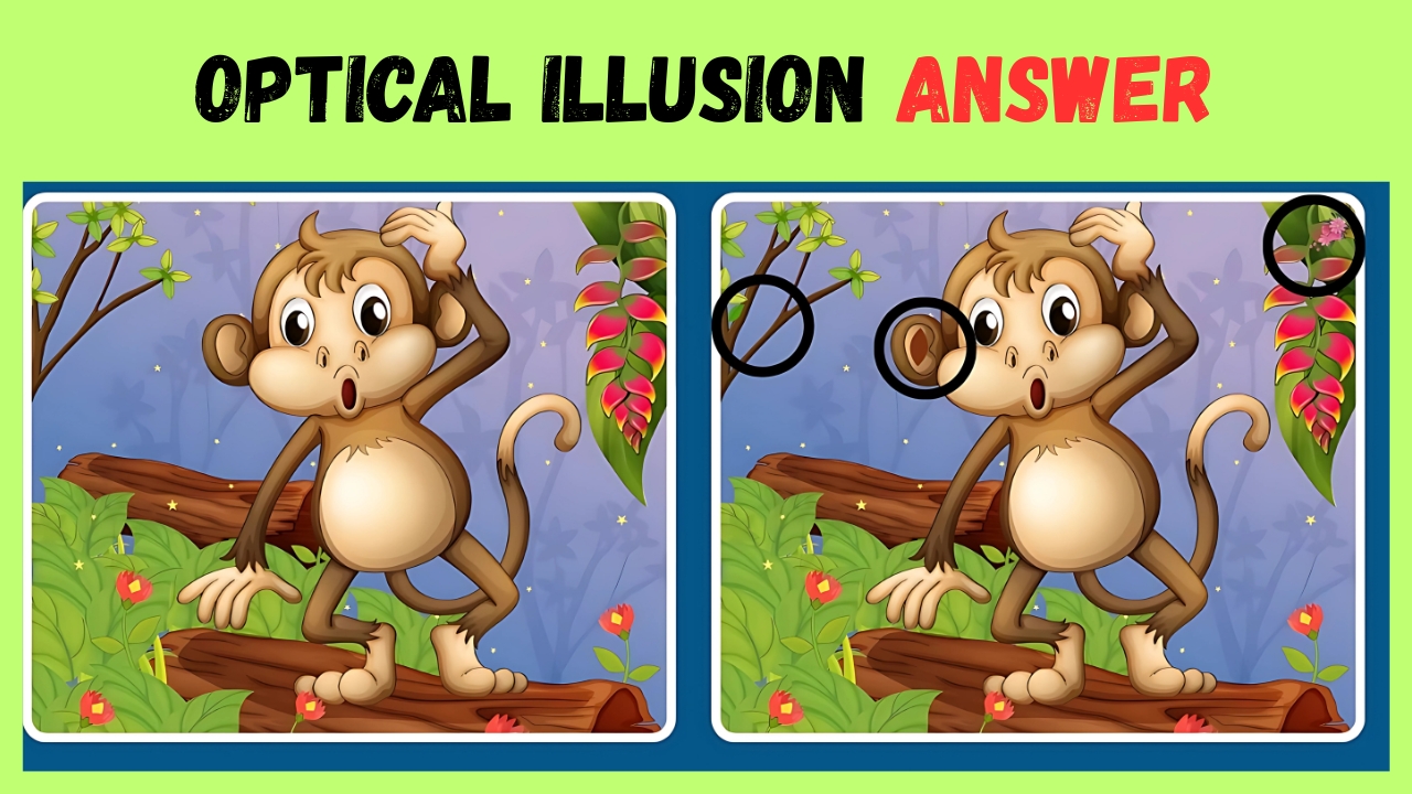 Monkey Challenge Solved